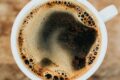 Leone il caffè artigianale italiano